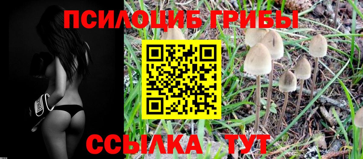 Псилоцибиновые грибы Magic Shrooms  Галлюциногенные грибы Psilocybe  Вход с VPN  Новоуральск 