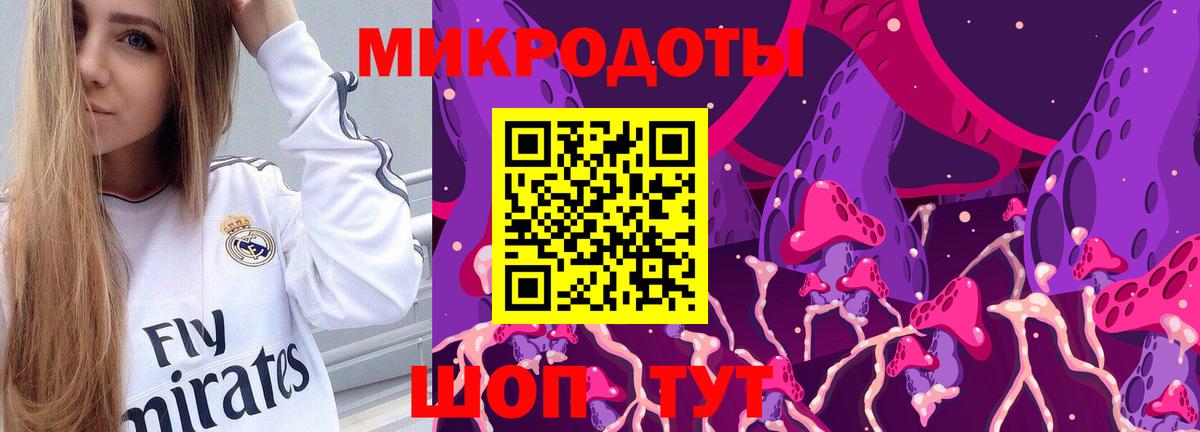 Псилоцибиновые грибы Psilocybe Новоуральск